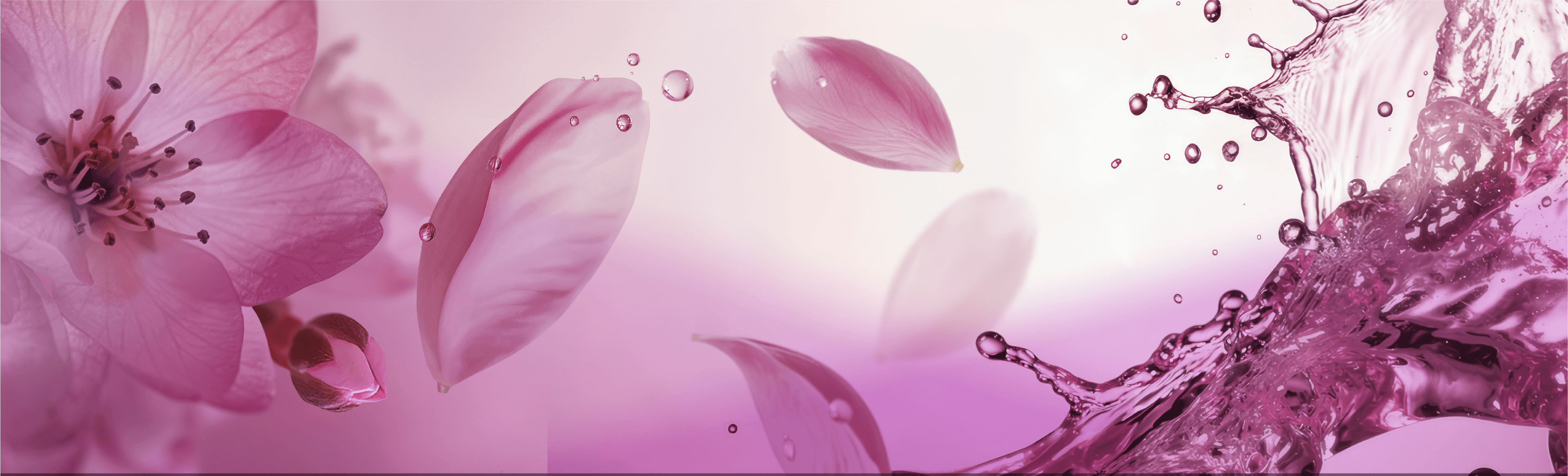 SAKURA BLOOM FACTOR